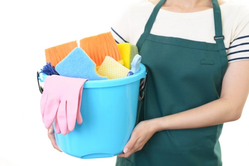Professional move in cleaning for a Westminster home before unpacking