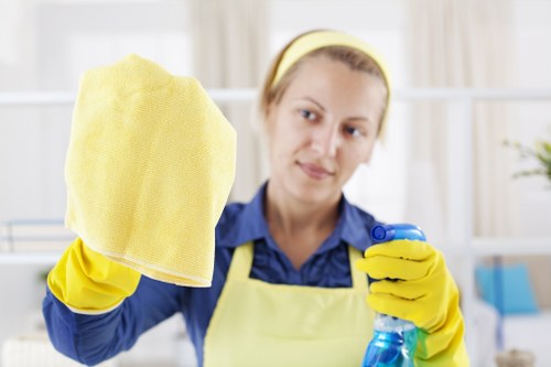 Website cookies and privacy policy overview for Carpet Cleaners Westminster