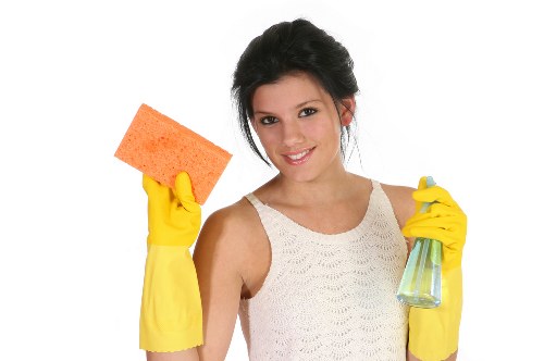 Technician reviewing a carpet cleaning issue report