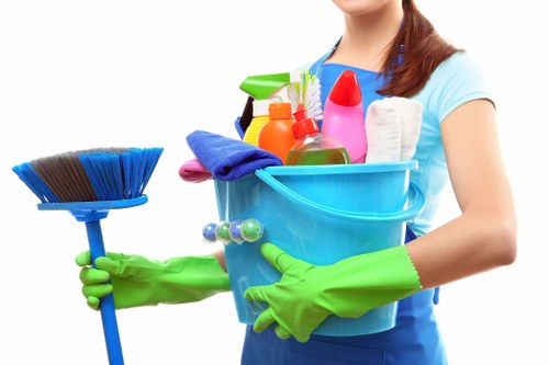 Detailed kitchen and bathroom cleaning in Westminster property