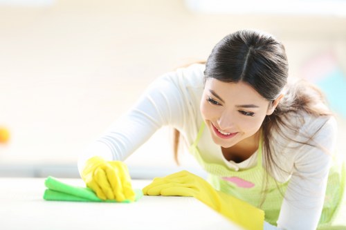 Upholstery and fabric stain cleaning in central Westminster