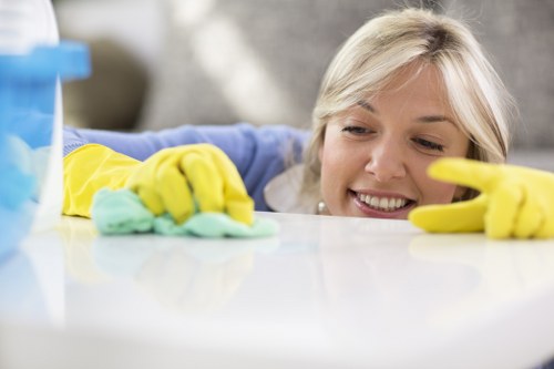 Customer complaint review during carpet service assessment