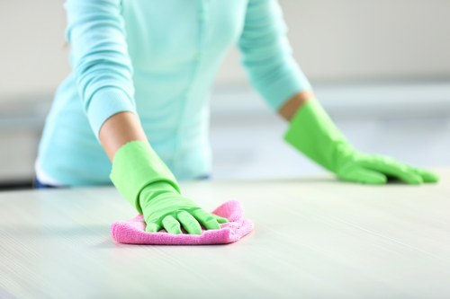 A cleaner maintaining kitchen and bathroom surfaces during a Westminster visit