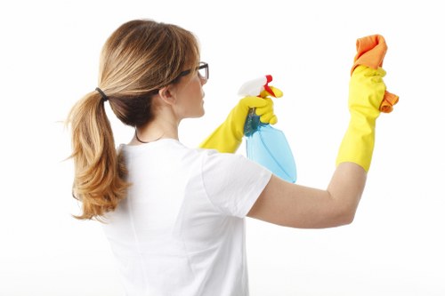 Step-by-step professional oven cleaning process in Westminster