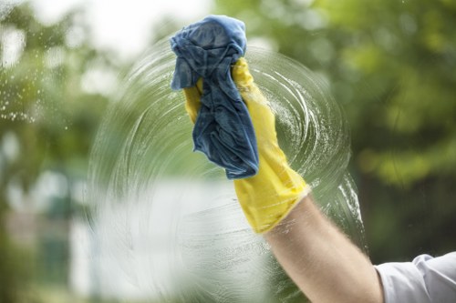 Professional carpet cleaner working in a central London flat