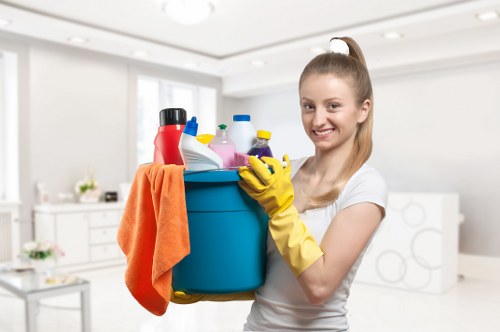 Local domestic cleaning service for a Westminster townhouse interior