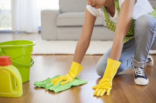 Cleaner inspecting carpet fibres before treatment in Westminster